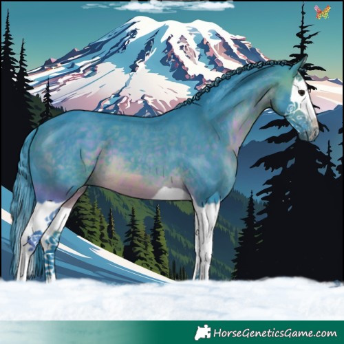 Horse Color:Watercolor Brown Splash 