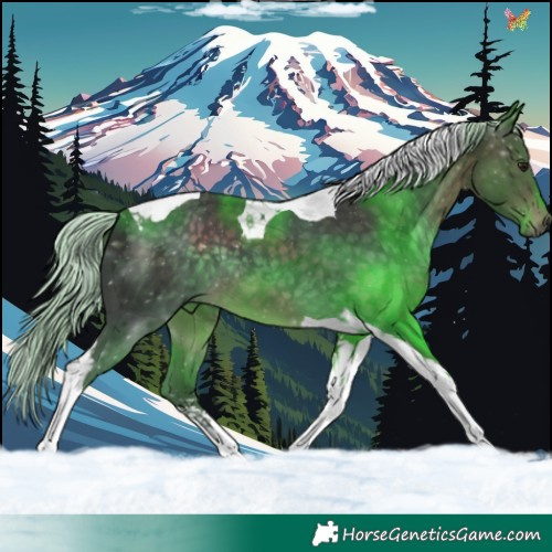 Horse Color:Platinum Silver Brown Tobiano