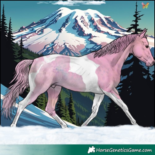 Horse Color:Watercolor Brown Tobiano 