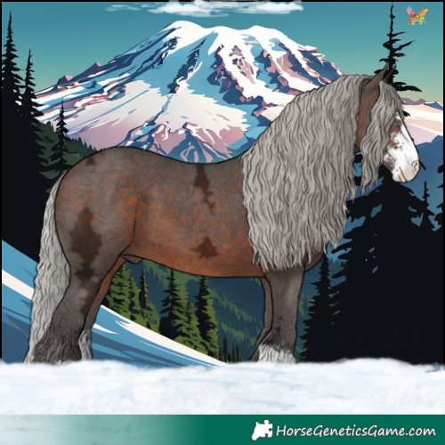 Horse Color:Silver Brown Ice Sabino