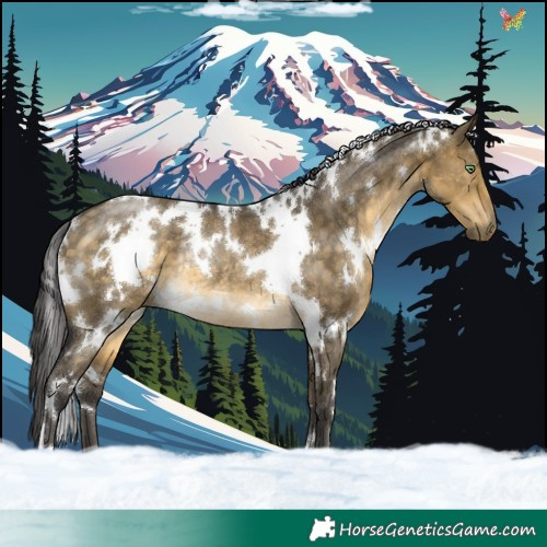 Horse Color:White Spotted Buckskin Dun Rabicano 