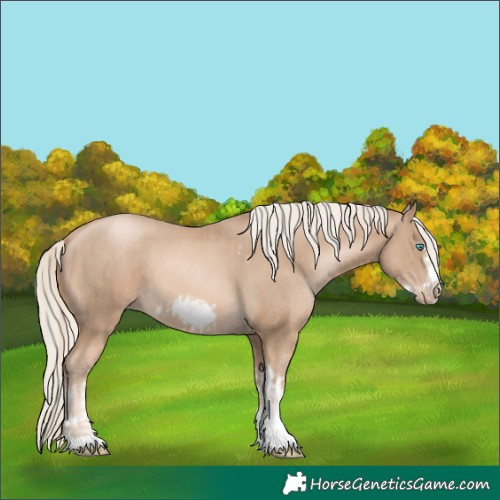 Horse Color:Chocolate Palomino Pearl Tobiano Frame and Chocolate Palomino Pearl Tobiano Frame