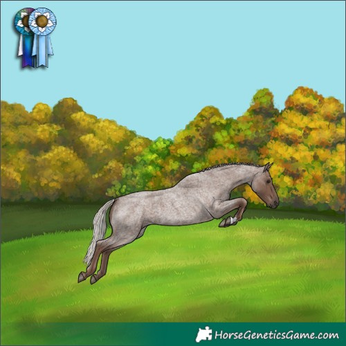 Horse Color:Silver Blue Roan