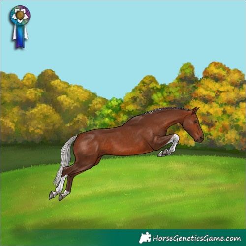 Horse Color:Silver Bay Tobiano 