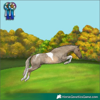 Horse Color:Chocolate Palomino Roan Mushroom Tobiano