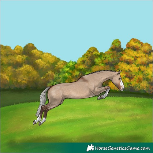 Horse Color:Silver Brown Dun Splash Tobiano