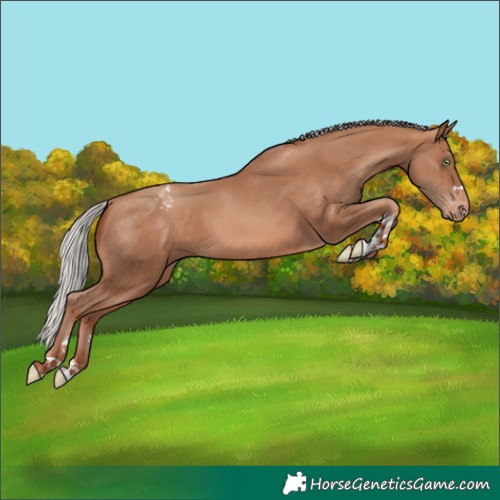 Horse Color:Silver Sable Champagne Tobiano Appaloosa