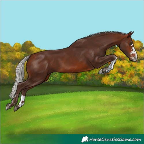 Horse Color:Silver Bay