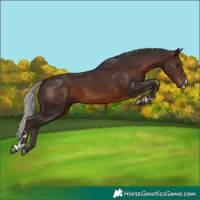 Horse Color:Silver Brown 