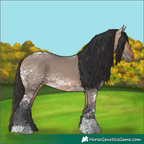 Horse Color:Bay Ice Dun Tobiano 
