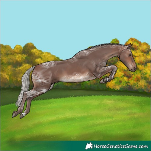 Horse Color:Silver Bay Ice