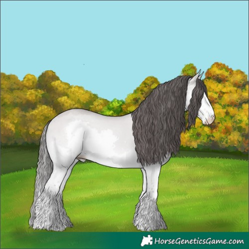Horse Color:Platinum Amber Champagne Dun Splash