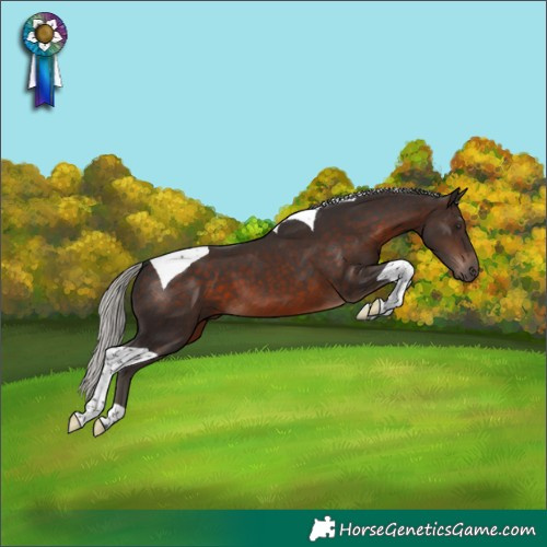 Horse Color:Silver Brown Tobiano
