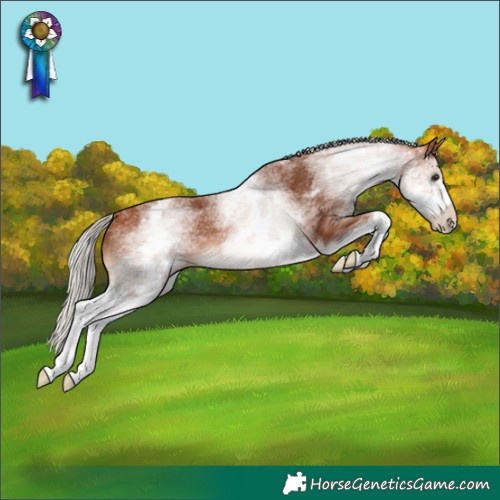 Horse Color:White Spotted Silver Bay