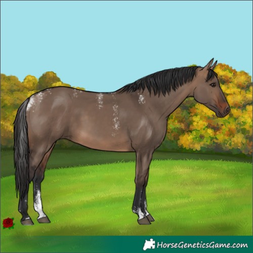 Horse Color:Powder White Brown Dun 