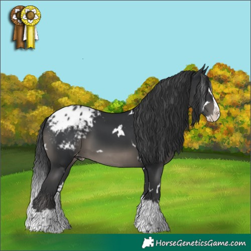 Horse Color:White Spotted Black Splash Blanket