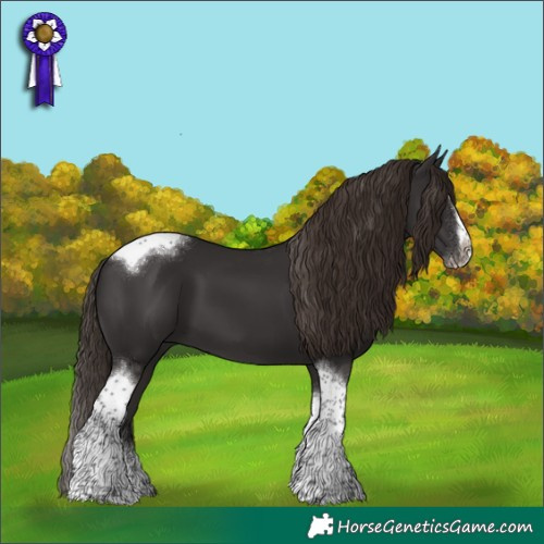 Horse Color:Liver Chestnut Splash Tobiano Frame