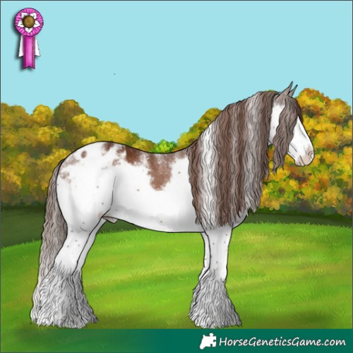 Horse Color:Powder White White Spotted Liver Chestnut Splash Frame Blanket 