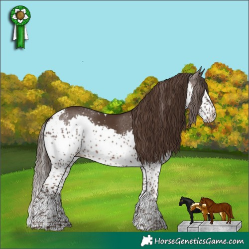 Horse Color:Powder White Liver Chestnut Splash Tobiano 