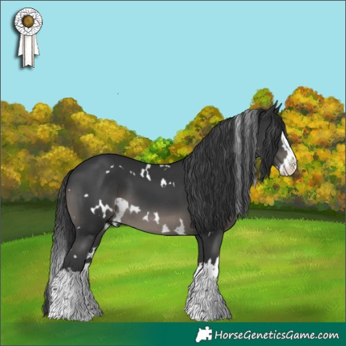 Horse Color:White Spotted Black Splash