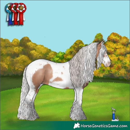Horse Color:Silver Sable Champagne Splash Tobiano Frame
