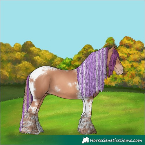 Horse Color:Painted Gold Champagne Tobiano 