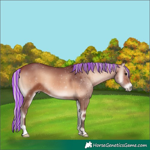 Horse Color:Painted Silver Brown Onyx 