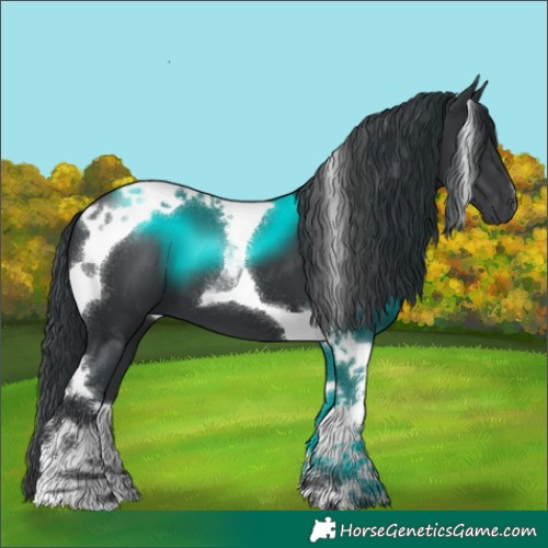 Horse Color:Black Tobiano