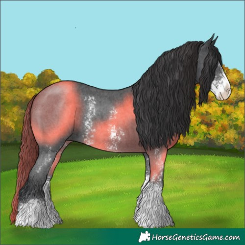 Horse Color:Black Sabino 