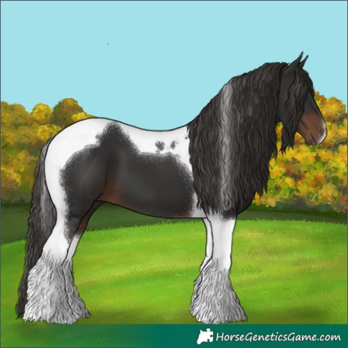 Horse Color:Liver Chestnut Tobiano 