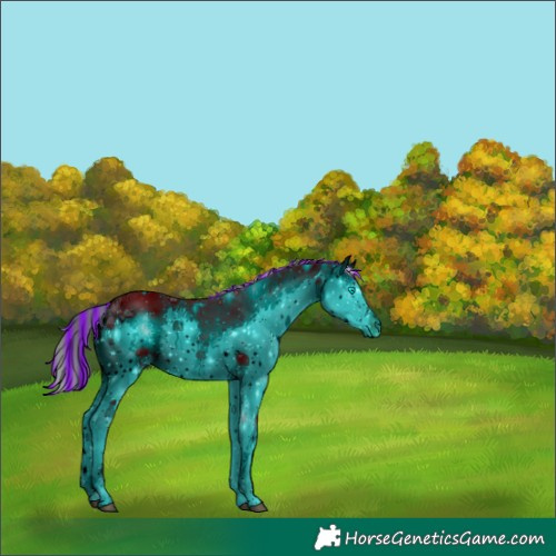 Horse Color:ERROR: UNKNOWN ANOMALY