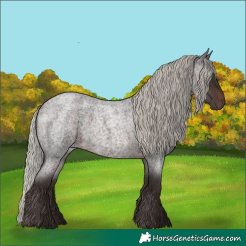 Horse Color:Silver Brown Roan 
