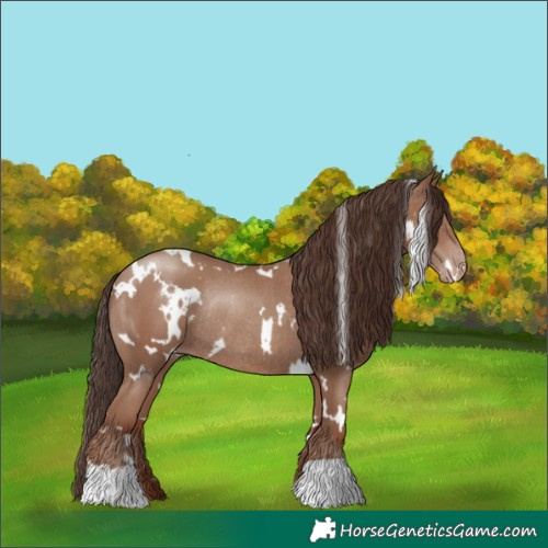 Horse Color:White Spotted Classic Champagne Rabicano 