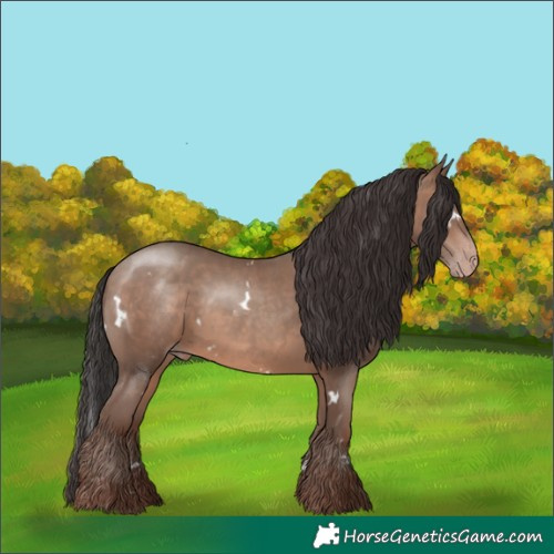 Horse Color:White Spotted Sable Champagne Rabicano 