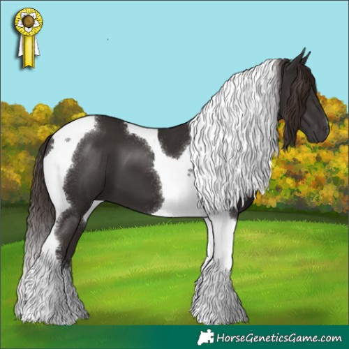 Horse Color:Liver Chestnut Tobiano 