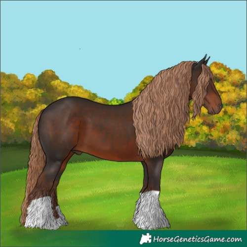 Horse Color:Liver Chestnut 