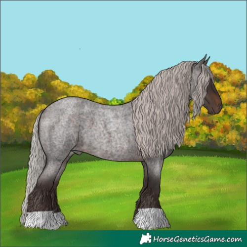 Horse Color:Silver Brown Roan 