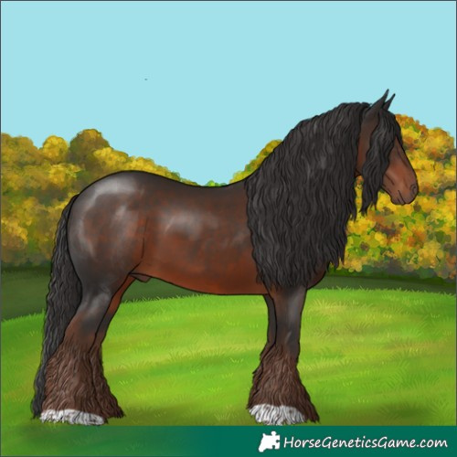 Horse Color:Liver Chestnut
