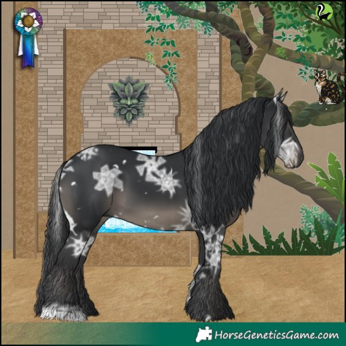Horse Color:White Spotted Black Ice