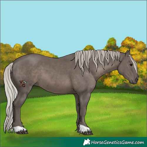 Horse Color:Silver Black