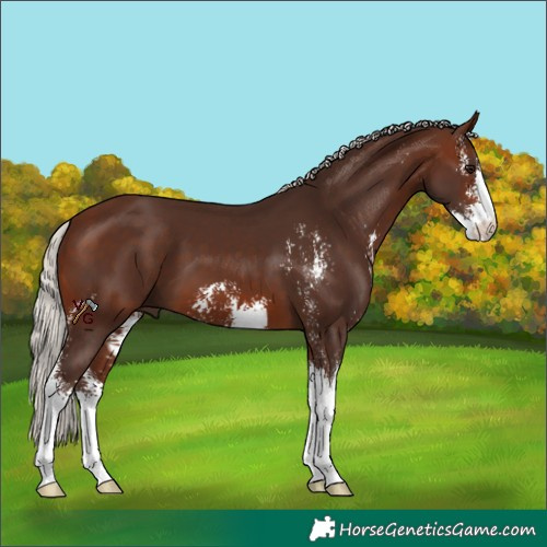 Horse Color:Silver Brown Sabino
