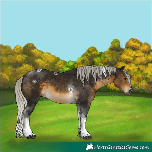 Horse Color:Gray Silver Buckskin Tobiano