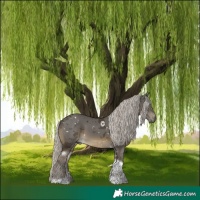Horse Color:White Spotted Silver Smoky Black Tobiano 
