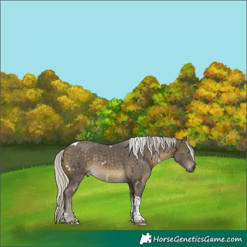 Horse Color:White Spotted Silver Buckskin Tobiano 