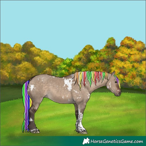 Horse Color:Painted White Spotted Silver Brown Dun Tobiano