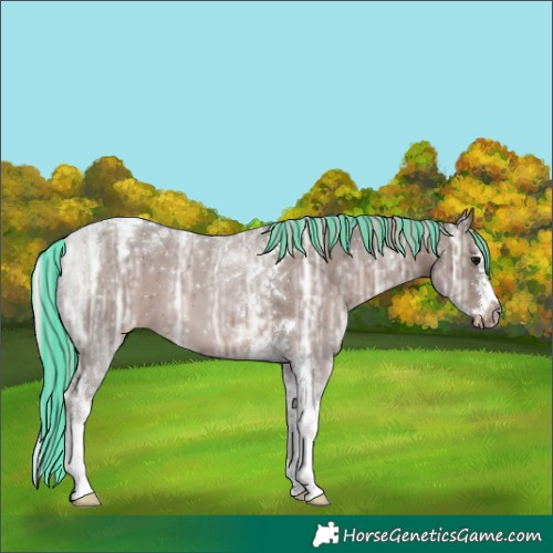 Horse Color:Painted Silver Black Ice Splash Tobiano Appaloosa 