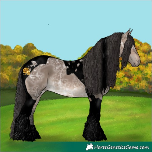 Horse Color:Void Brown Ice Dun Tobiano 