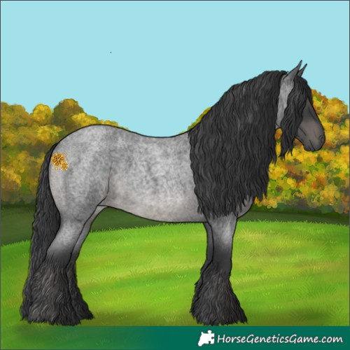 Horse Color:Blue Roan 