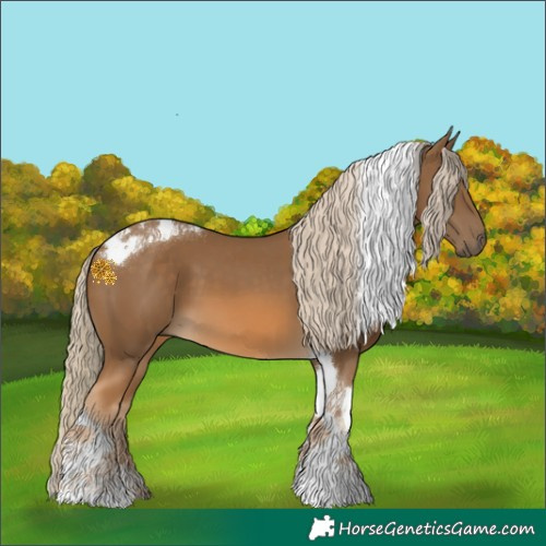 Horse Color:Chocolate Palomino Tobiano 