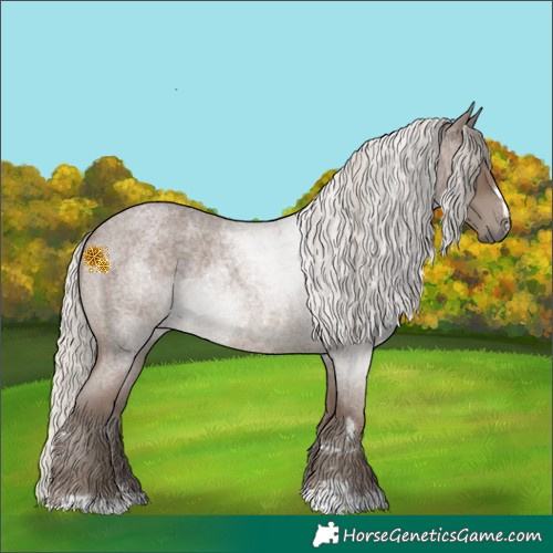 Horse Color:Silver Blue Roan